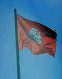 Battle Standard at Culloden