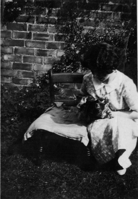 Mother and cats