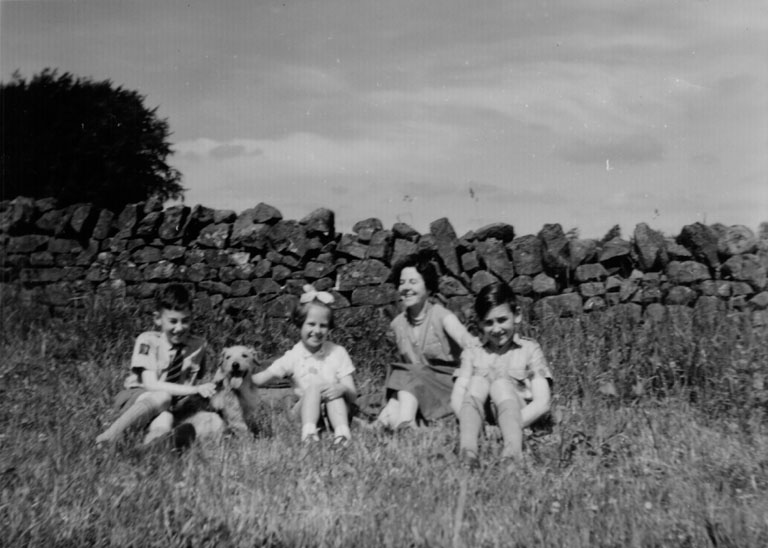 Scaur Bank, Lazonby