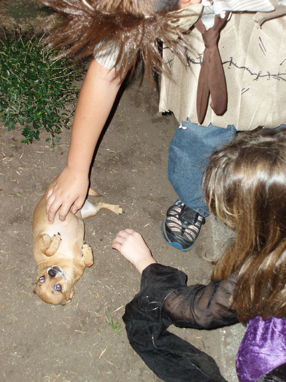 Halloween2006 013