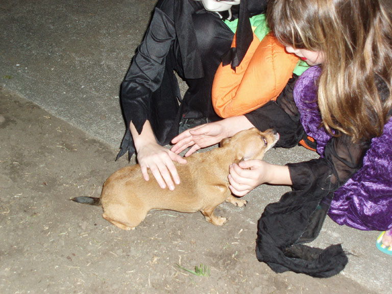 Halloween2006 014