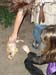 Halloween2006 013