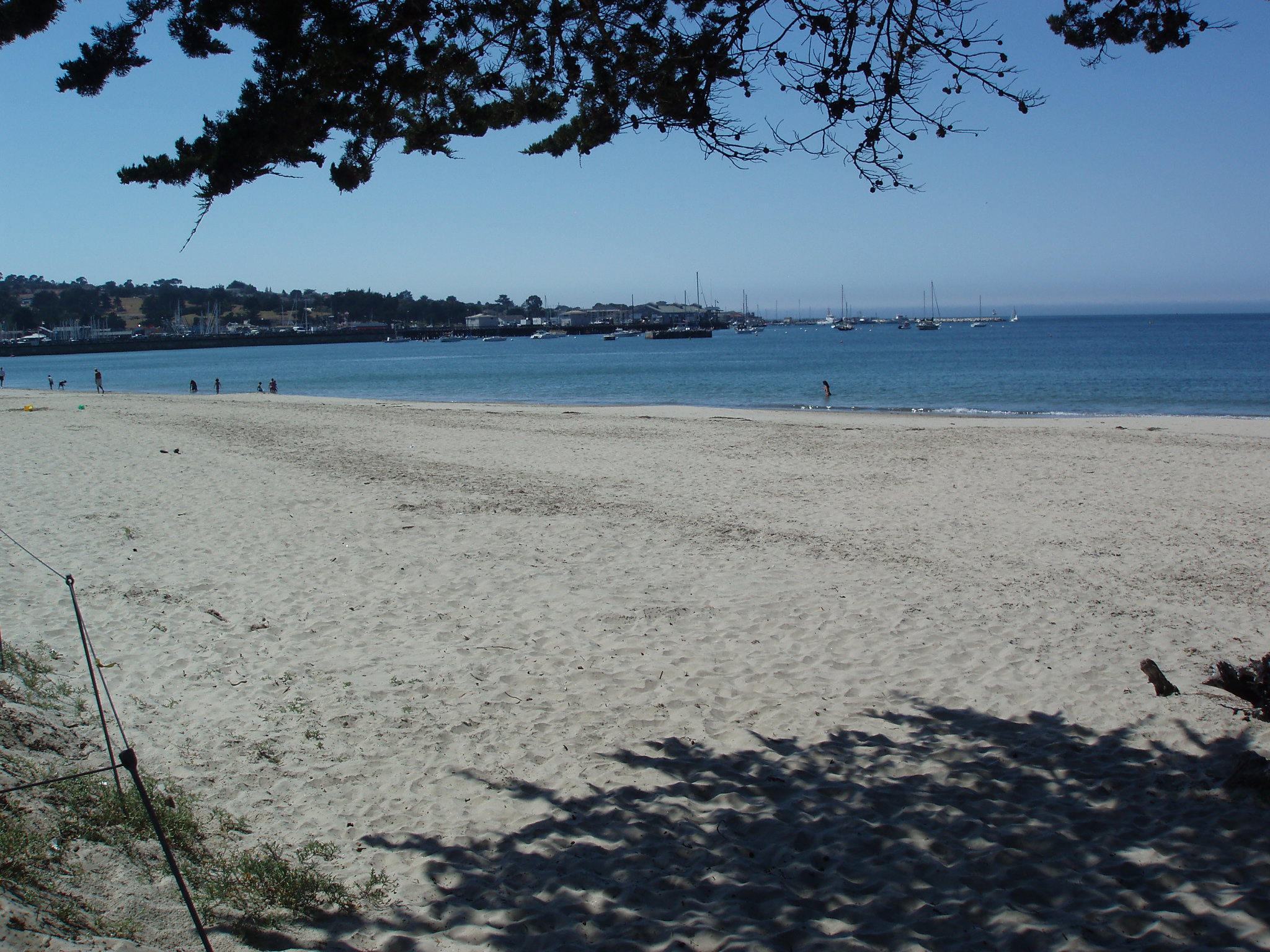 Monterey 002
