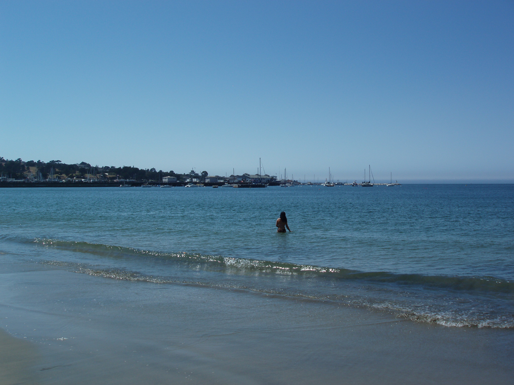 Monterey 004