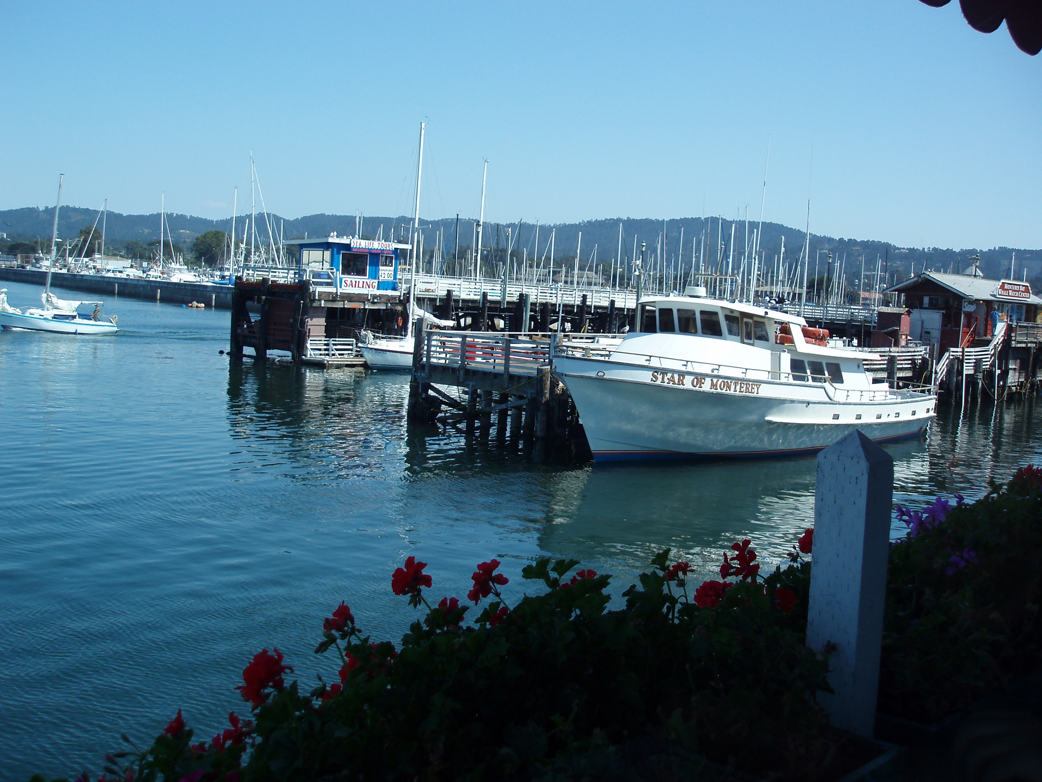 Monterey 010