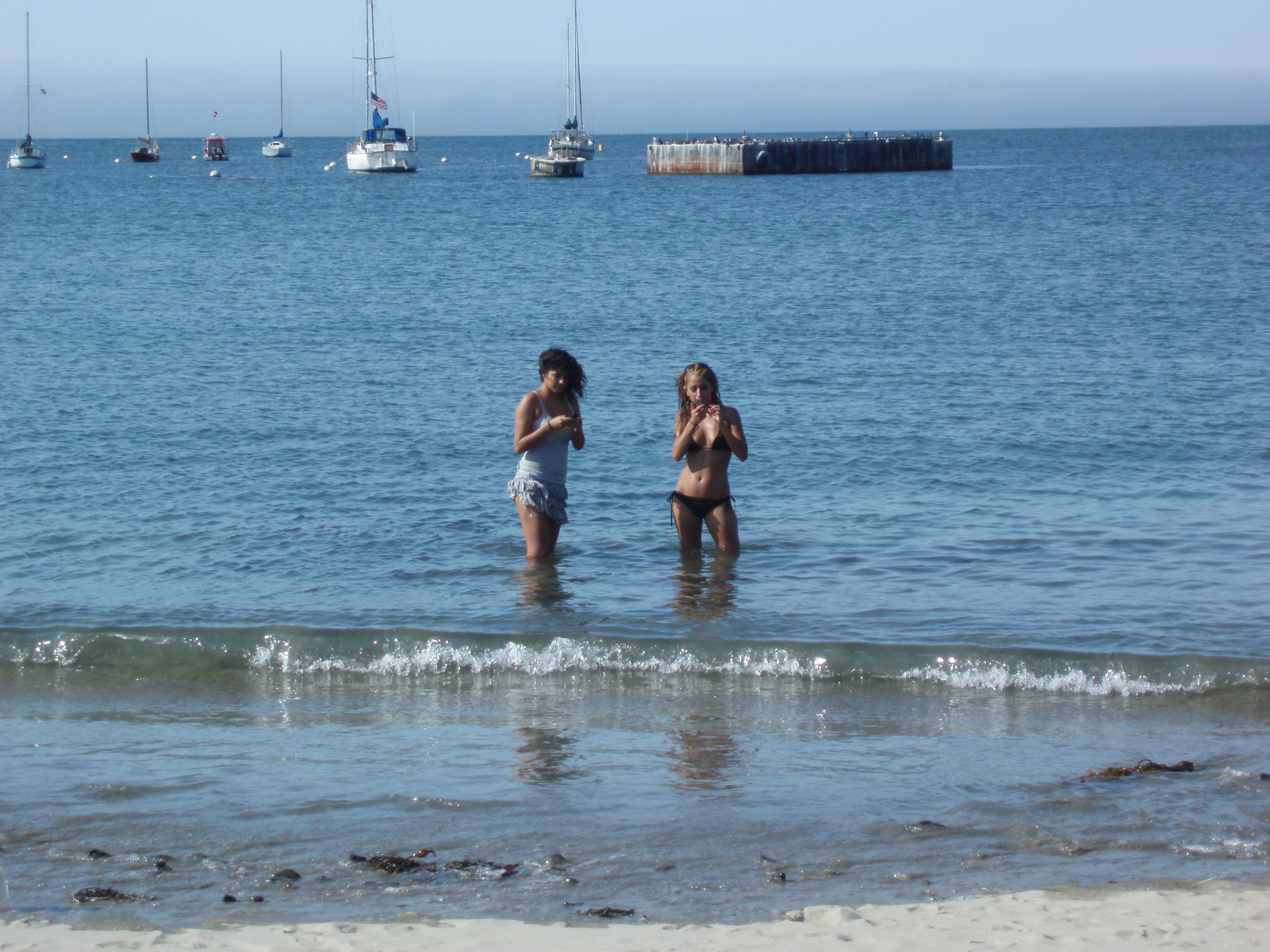 Monterey 011