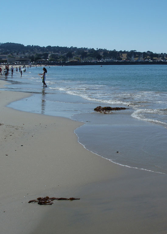 Monterey beach