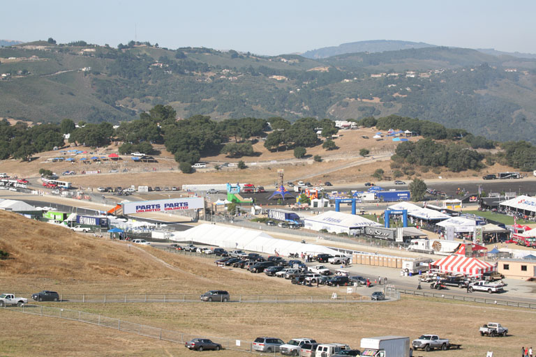 Paddock area