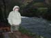 Norway 173