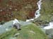 Norway 184