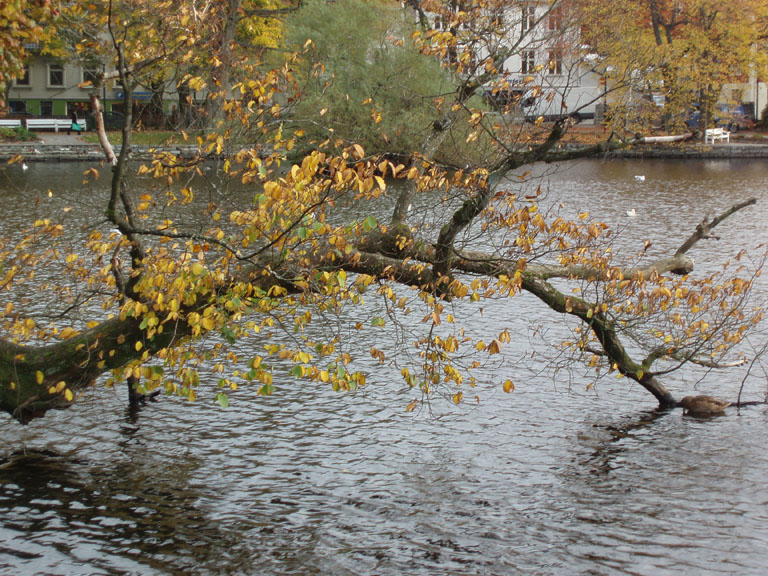 Norway 057