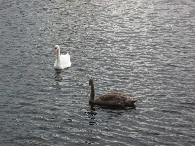 Norway 060