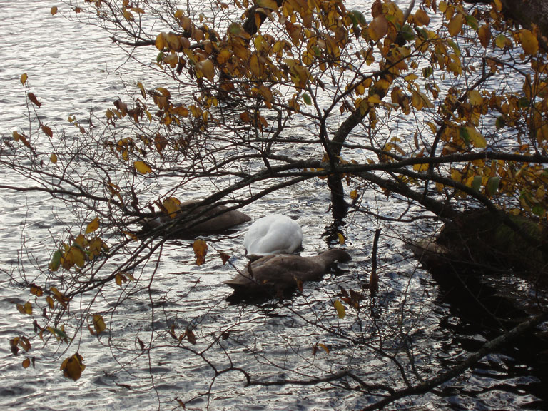 Norway 061