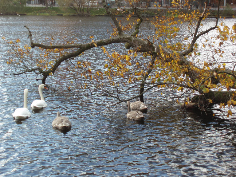 Norway 062