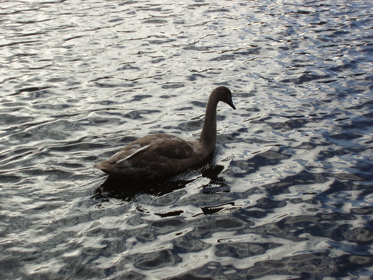 Norway 064