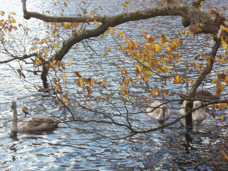 Norway 066