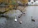 Norway 058