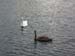 Norway 060