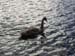 Norway 064