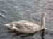 Norway 067