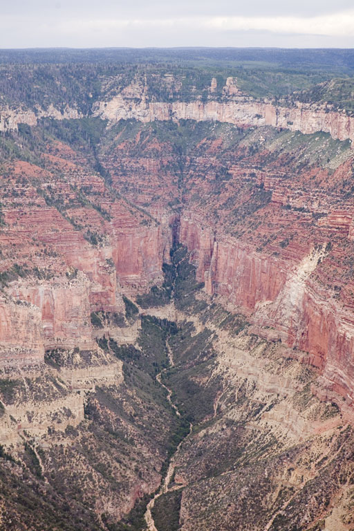 _MG_2783