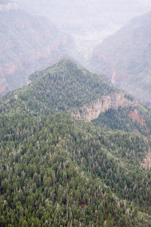 _MG_2791