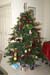 Tree1